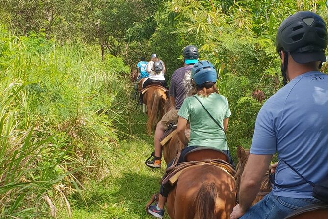3 Hours Horseback Riding from Nature Trails to Sofa Stone - Climbing toward the high viewpoint