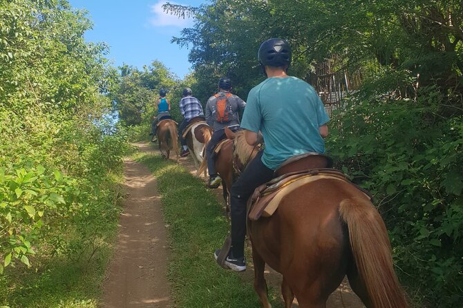 3 Hours Horseback Riding from Nature Trails to Sofa Stone - Riding back down the mountain
