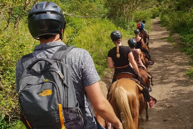 3 Hours Horseback Riding from Nature Trails to Sofa Stone - What $97.50 really buys you