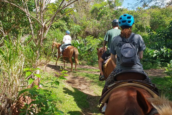 3 Hours Horseback Riding from Nature Trails to Sofa Stone - Who should book this ride?