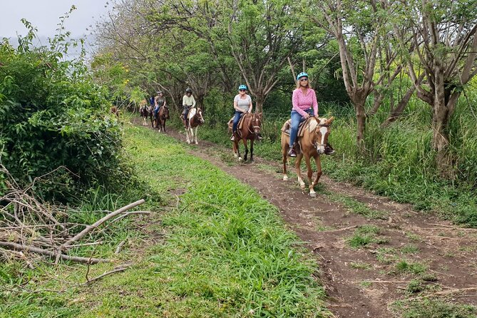 3 Hours Horseback Riding from Nature Trails to Sofa Stone - Through bamboo, fruit trees, and local farm life