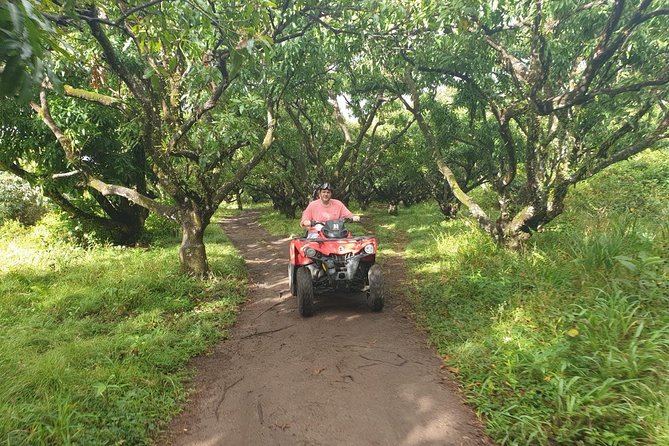 ATV Tour of St Kitts - Scenic pauses, local fruit, and views toward the sea