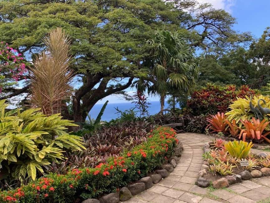 Basseterre: Plantation and Beach Extravaganza - Basseterre is your first taste of St. Kitts