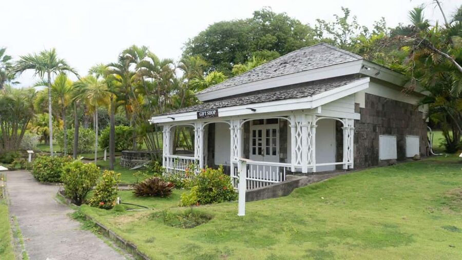 Basseterre Plantation Half Day Tour - How the six-hour format feels