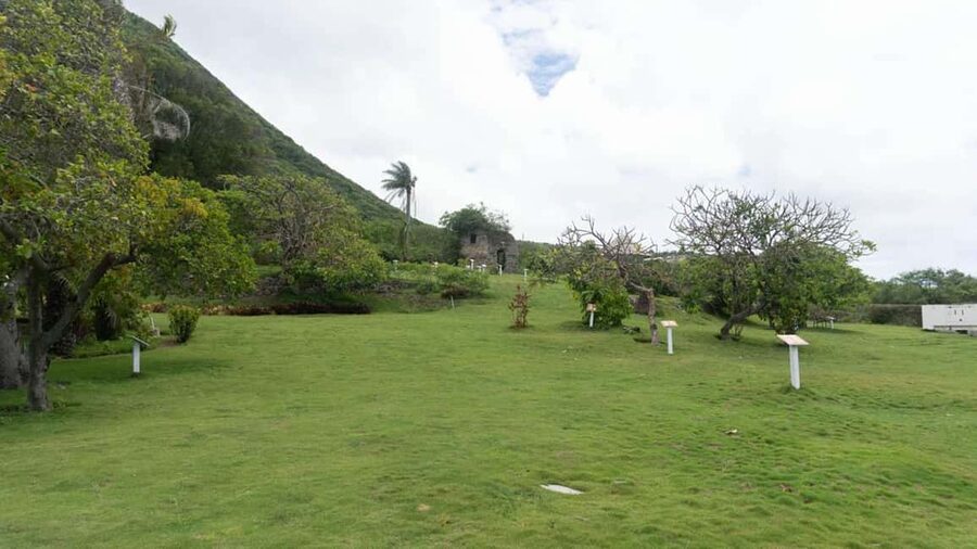 Basseterre Plantation Half Day Tour - Optional swimming and beach time