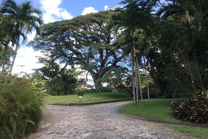 Basseterre Plantation Private Half Day Tour - Who will get the most from this tour?
