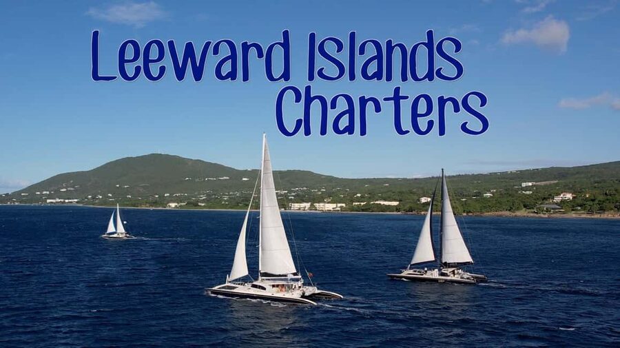 Basseterre: St Kitts 4-hour Catamaran Snorkel Cruise & Lunch - The snorkeling cove and its reef fish