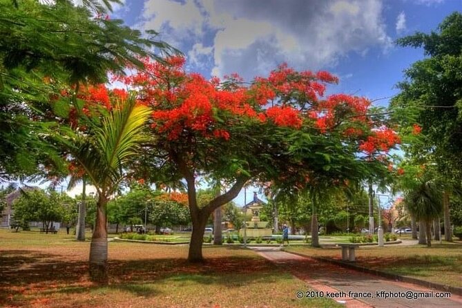 Best of St. Kitts Private Half Day Tour - Caribelle Batik shows a living island craft
