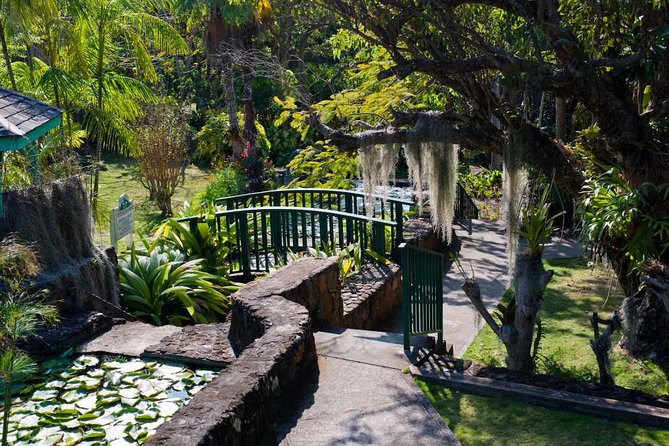 Discover Nevis, Island Tour (Private) - What the Guide Adds to the Drive