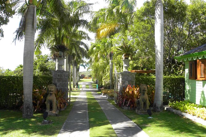 Discover Nevis, Island Tour (Private) - Montpelier’s Gardens and the Ruins Among the Plants