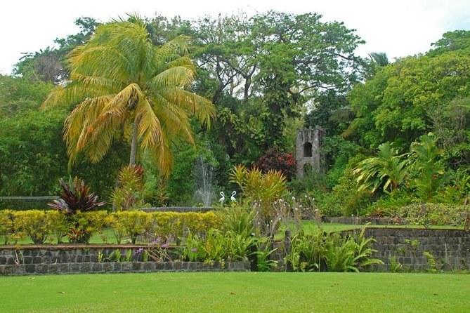 Full Island Private Tour - Wingfield Plantation and Romney Manor
