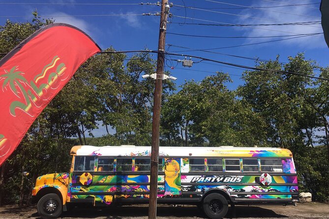 Half Day St. Kitts Party Bus City Excursion and Beach - What this St. Kitts party bus is really like