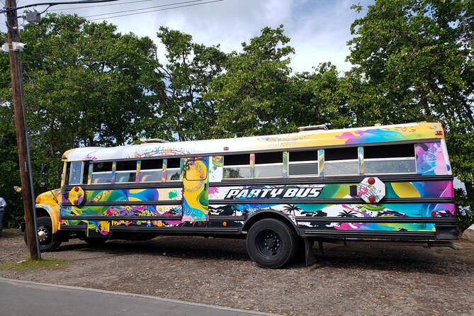 Half Day St. Kitts Party Bus City Excursion and Beach - Three hours at Frigate Bay