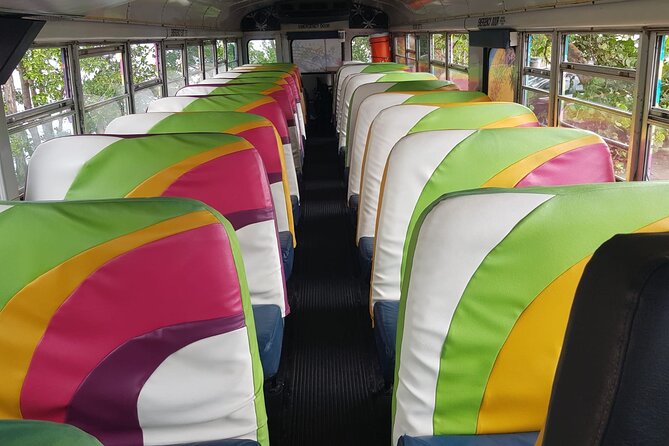 Half Day St. Kitts Party Bus City Excursion and Beach - Drinks, music, and the party-bus mood