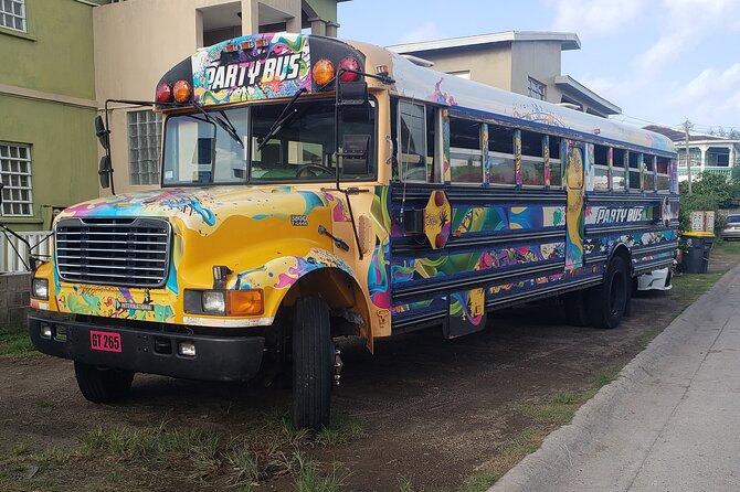 Half Day St. Kitts Party Bus City Excursion and Beach - Who should book this excursion?