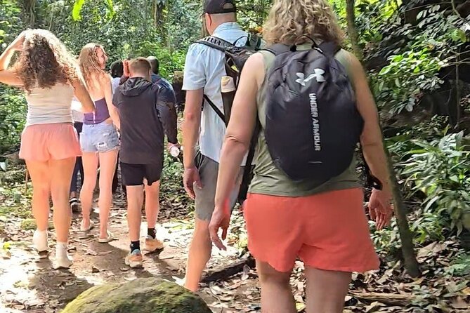 Half-Day St. Kitts Rainforest Hike - A Four-Hour Morning in St. Kitts’ Rainforest