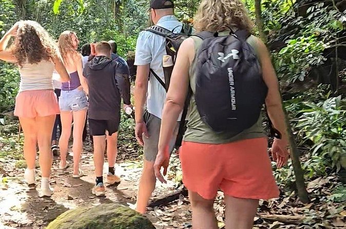 Half-Day St. Kitts Rainforest Hike - What to Bring for a Better Hike