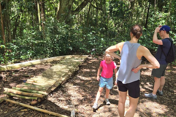 Half-Day St. Kitts Rainforest Hike - The Steep Climb Is the Important Fine Print