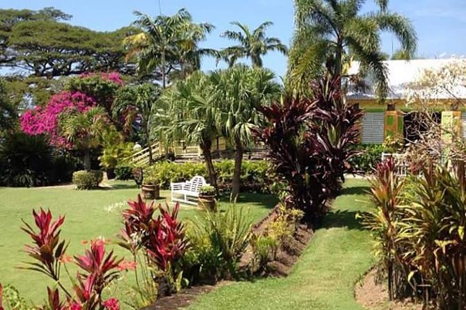 Half-Island Tour of St Kitts - What this $46.16 tour really gives you