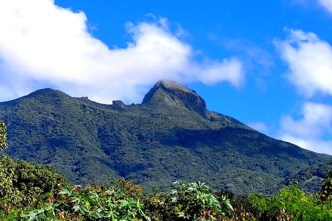 Hike St. Kitts: Highest peak Mount Liamuiga Volcano - What to bring for Mount Liamuiga