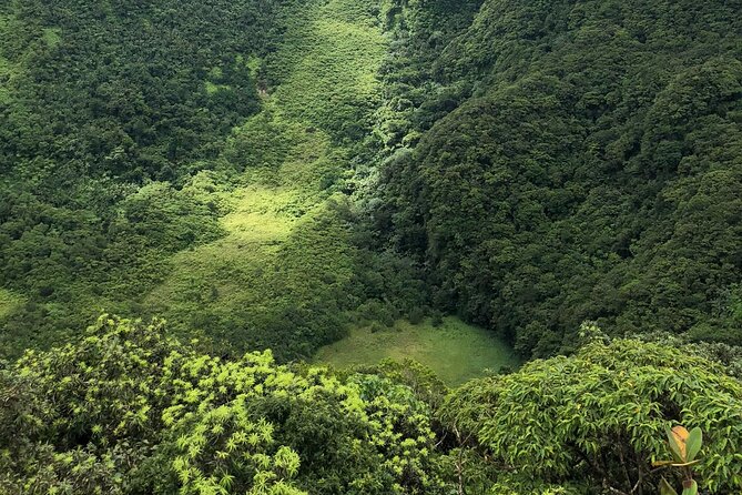 Hike St. Kitts: Highest peak Mount Liamuiga Volcano - Is the $109.99 price good value?