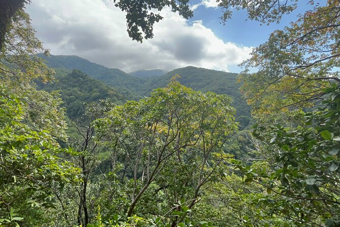 Hike St Kitts: Wingfield Rainforest and Romney Experience - Key points to know before booking