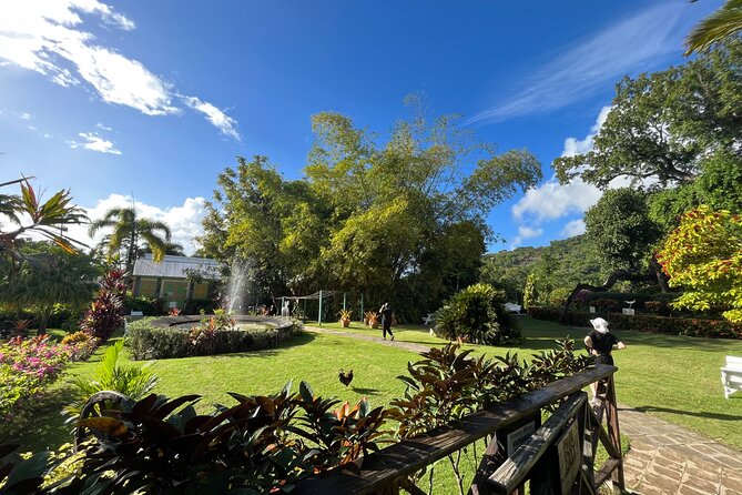 Hike St Kitts: Wingfield Rainforest and Romney Experience - Wingfield Estate and the island’s sugar past