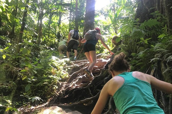 Hiking Mount Liamuiga Volcano in St Kitts - The guides make a major difference
