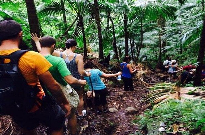 Hiking Mount Liamuiga Volcano in St Kitts - The volcanic summit and crater rim