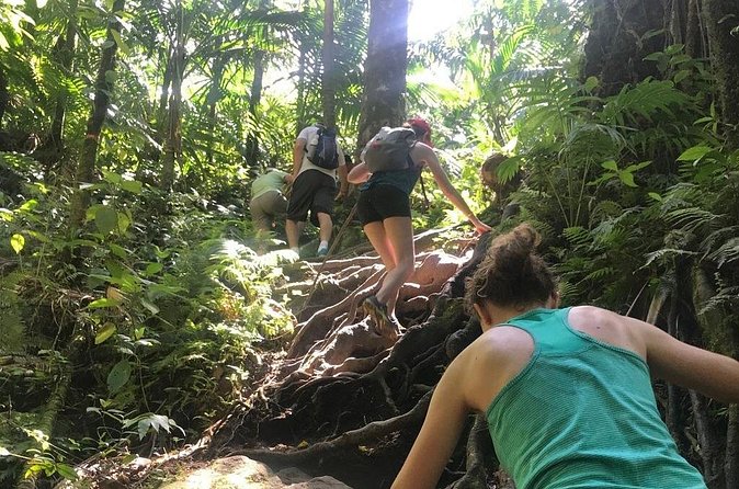 Hiking Mount Liamuiga Volcano in St Kitts - Why wet weather deserves serious respect