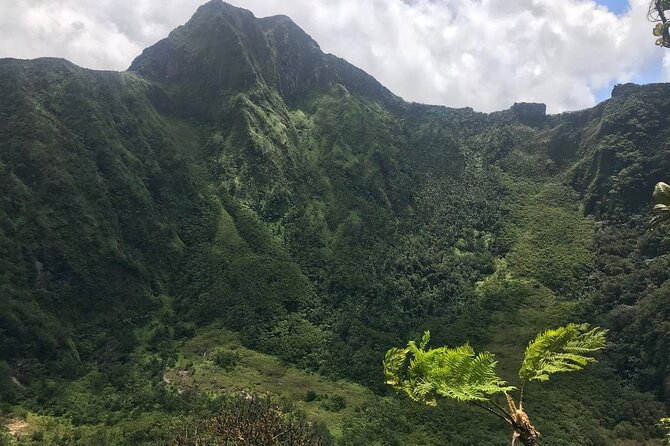 Hiking Mount Liamuiga Volcano in St Kitts - The 8:30 a.m. pickup and ride to St Pauls