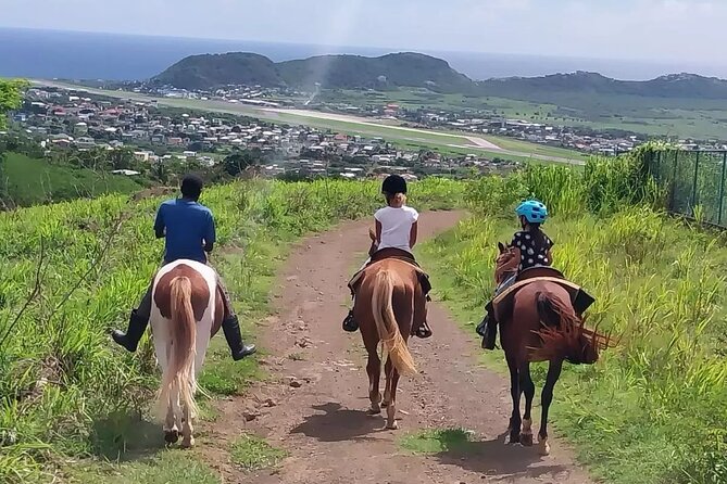 Horseback Riding, A Scenic Escape - Through fruit trees and tropical forest