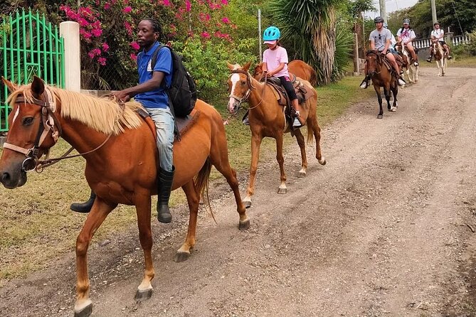 Horseback Riding, A Scenic Escape - What the three-and-a-half-hour timing means