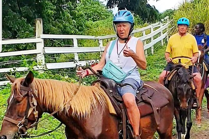 Horseback Riding, A Scenic Escape - Is $110 a fair price?