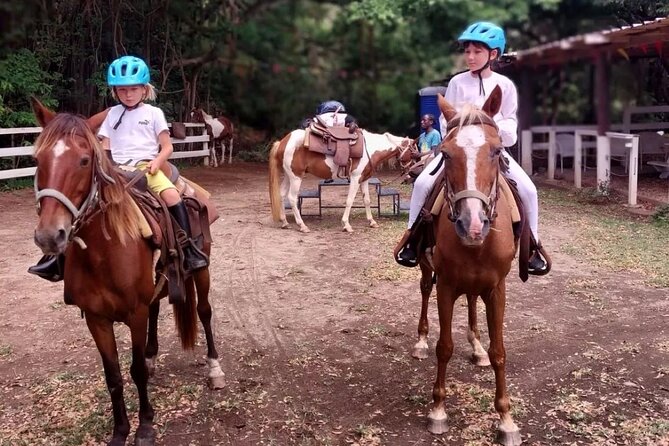 Horseback Riding, A Scenic Escape - Who will enjoy this St. Kitts ride most?