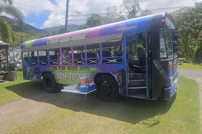Irie Vibe Open Air Scenic Adventure - South Friars Beach: Ninety Minutes to Slow Down