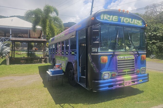Irie Vibe Open Air Scenic Adventure - Basseterre: A Brief Look at St. Kitts’ Capital