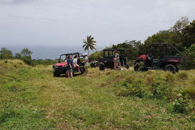 Jungle Bikes Dune Buggy & Beach Tours in St Kitts - Why a dune buggy is a useful way to see St. Kitts