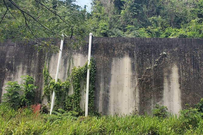 Ken's Panoramic Rainforest Tour - The War Memorial and the Cost of History