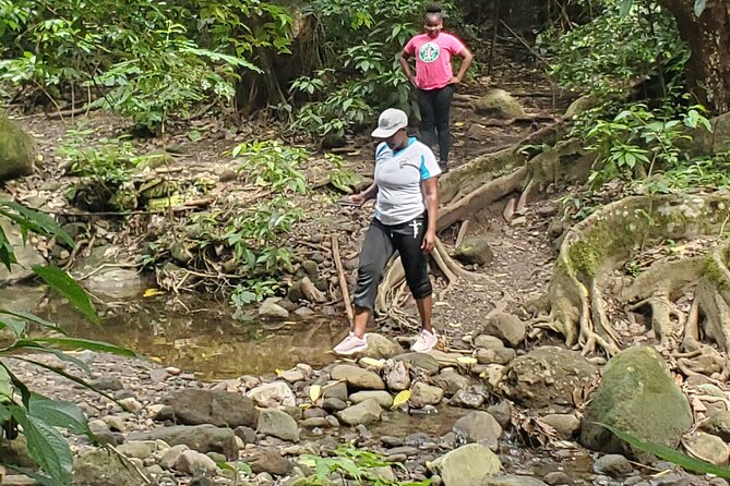 Ken's Panoramic Rainforest Tour - Old Road and the Kalinago Petroglyphs