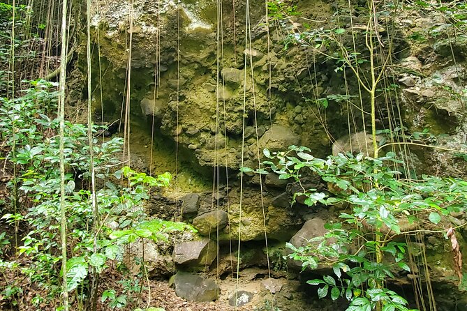 Ken's Panoramic Rainforest Tour - Wingfield Estate’s Sugar Plantation Ruins
