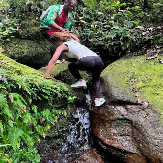 Lawyer Stephen Hike with Waterfall and Cave Hike - The cave adds a welcome change of pace