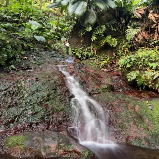 Lawyer Stephen Hike with Waterfall and Cave Hike - What the $85 price includes