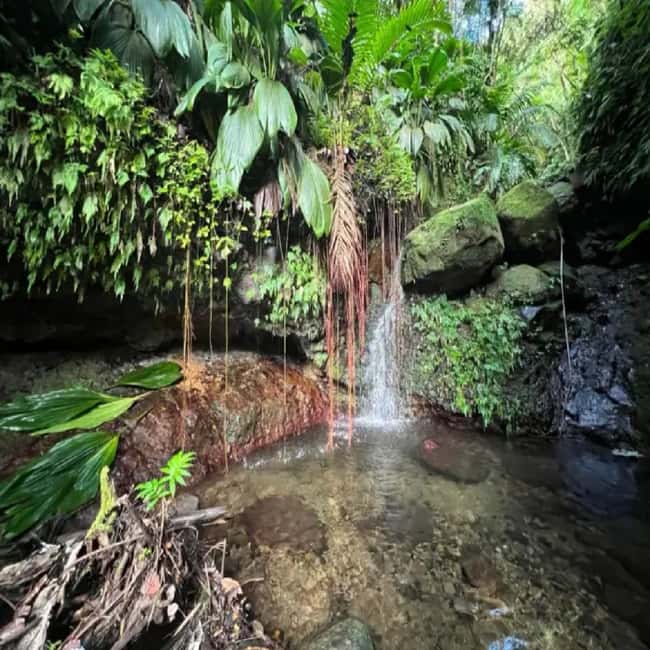 Lawyer Stephen Hike with Waterfall and Cave Hike - Who should book the hike?