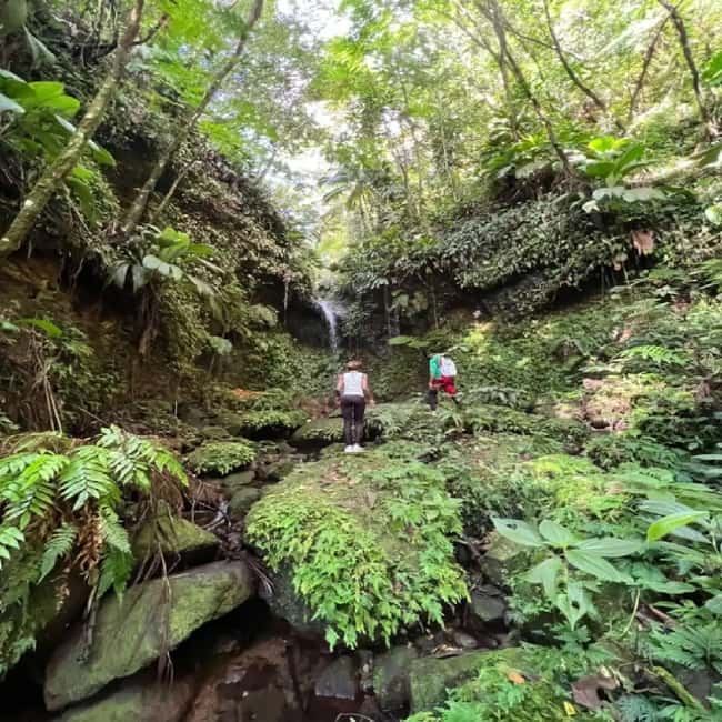 Lawyer Stephen Hike with Waterfall and Cave Hike - Starting at Olivees Mountain