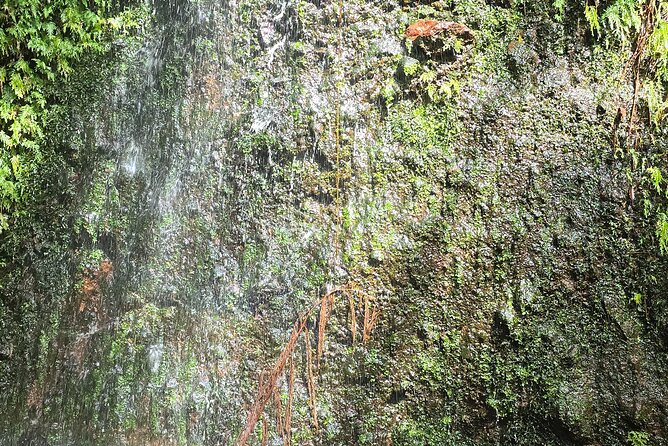 Lawyer Stephen’s Cave & Waterfalls Hike - What the $95 price includes