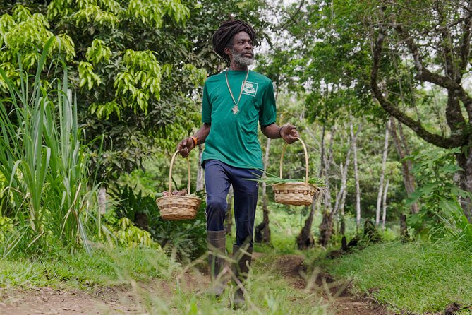 Liamuiga Natural Farm Tour - St.Kitts' Coffee Farm - The 11:00 AM lunch and local ingredients
