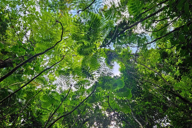 Mindfulness Rainforest Hike, Forest Bathing, Volcanic Hot Springs - The waterfall pool and cold-water break