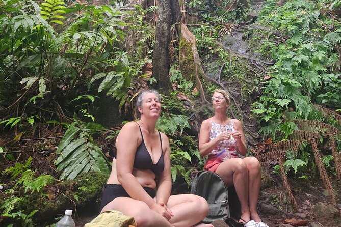 Mindfulness Rainforest Hike, Forest Bathing, Volcanic Hot Springs - Is $175 a fair price?