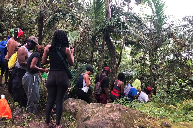Mount Liamuiga Volcano Hike St Kitts Highest peak - Rainforest scenery and the Mount Misery name